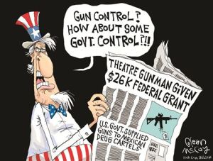 gun control government control